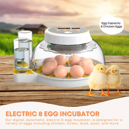 Electric 8 Egg Incubator - Automatic Turning for Chicken Quail Duck Hatching