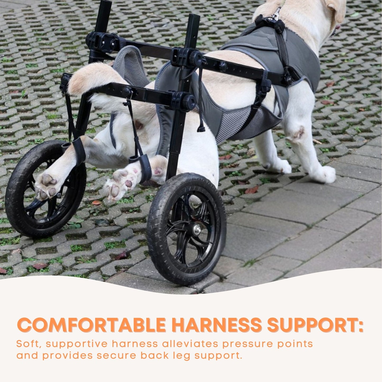 Rooster Farms Large Breed Dog Wheelchair - Adjustable Back Hind Leg Mobility Aid