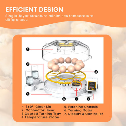 Automatic 12 Egg Incubator - Electric Digital Turning Chicken Quail Duck Hatching