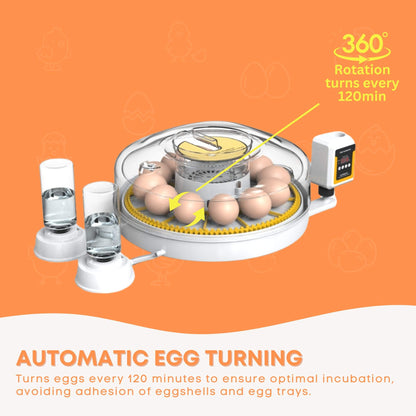 Automatic 12 Egg Incubator - Electric Digital Turning Chicken Quail Duck Hatching