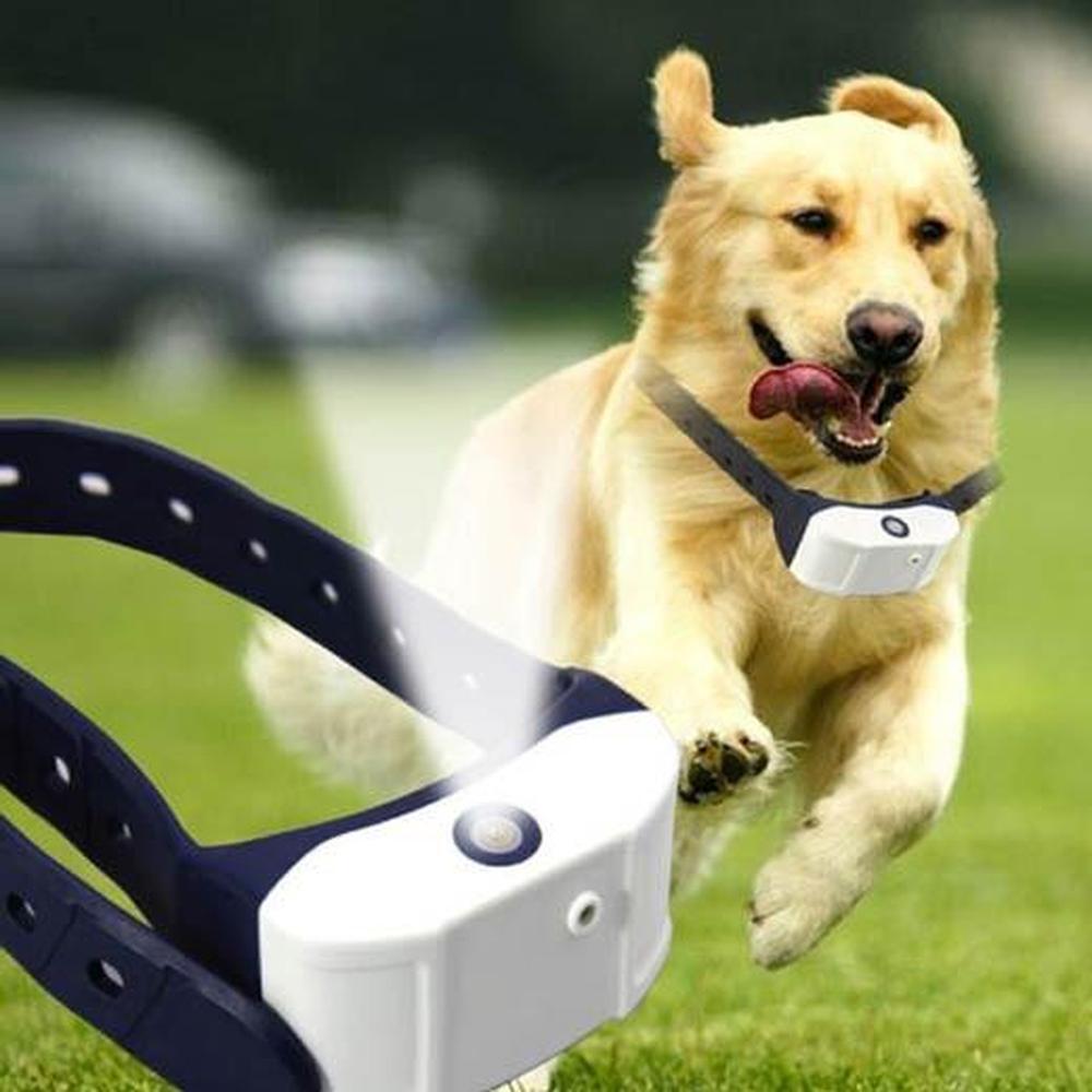 Dog Bark Collar - Citronella USB Rechargeable Mist Spray Training - Bulk Buy