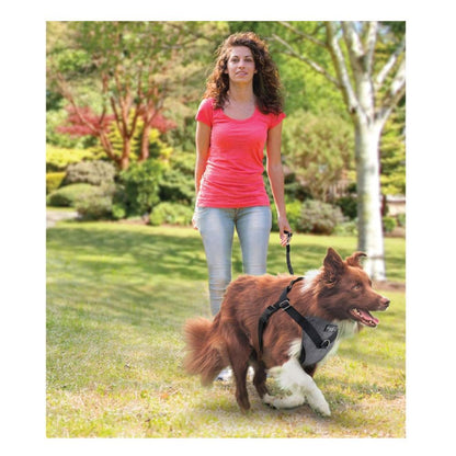 Dog Harness 2 in 1 Combo - Car Travel Rides + Walks - No Pull Leash Seat Belt