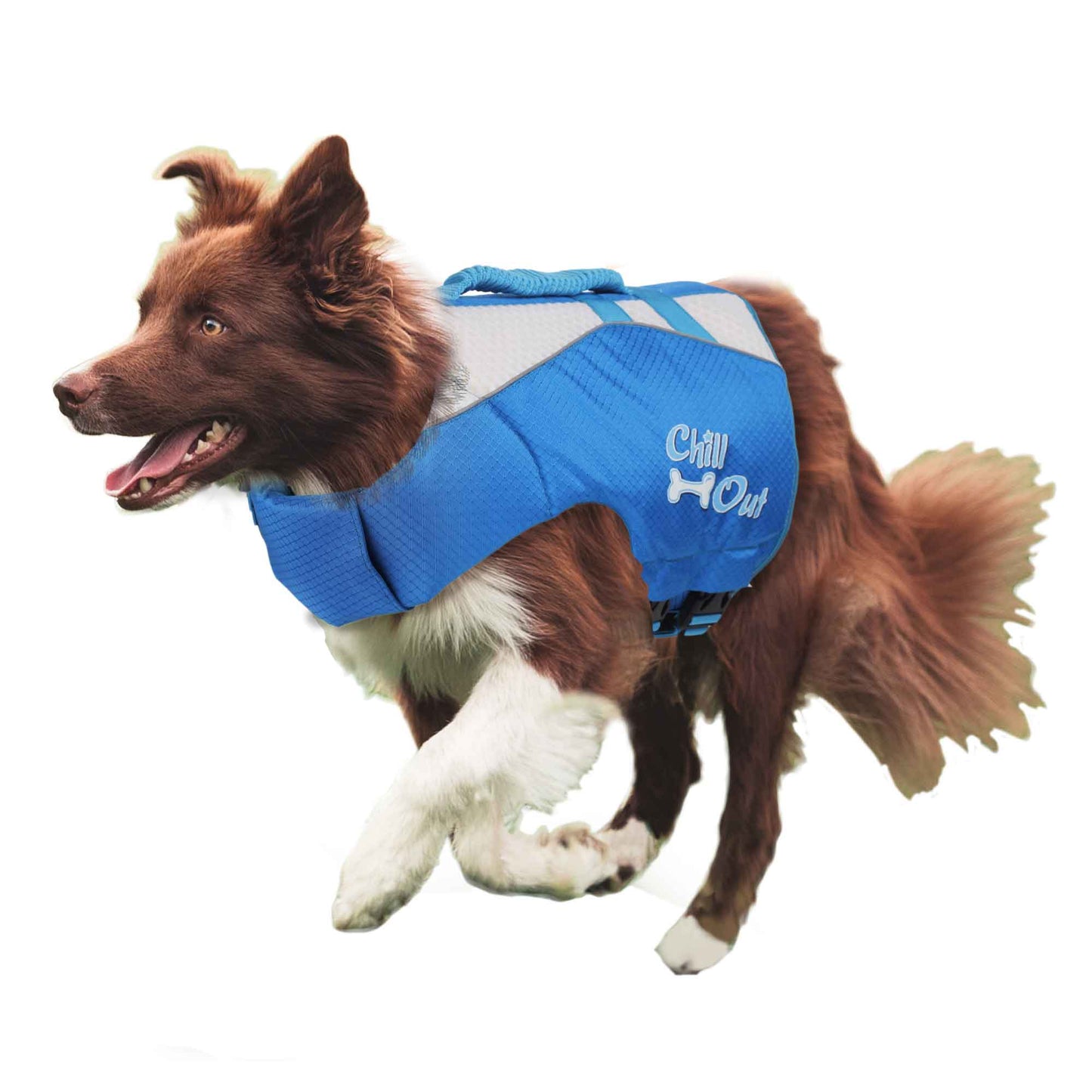 Dog Life Jacket - Puppy Swim Float Adjustable Safety Vest - All For Paws