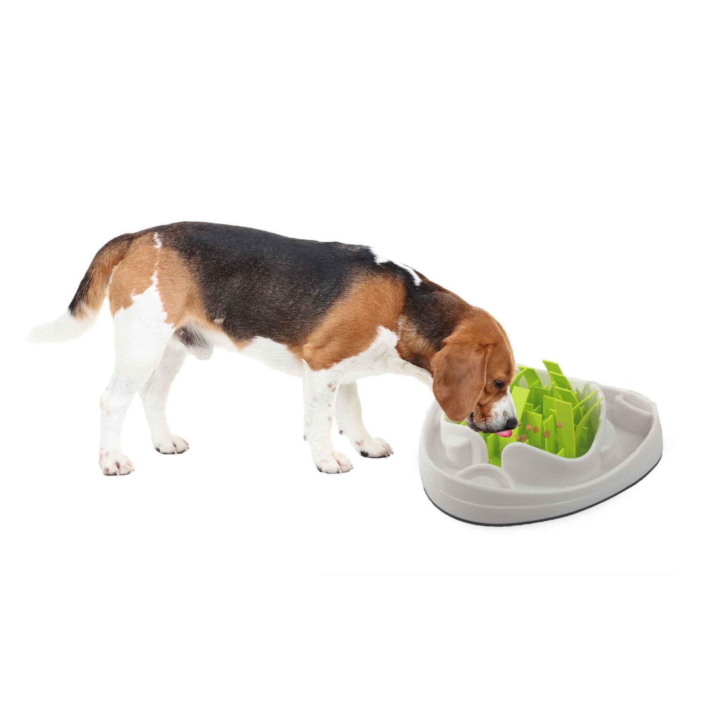 Dog Slow Feeder Bowl - Interactive Puzzle Anti Gulp Puppy Eating Maze AFP Pet