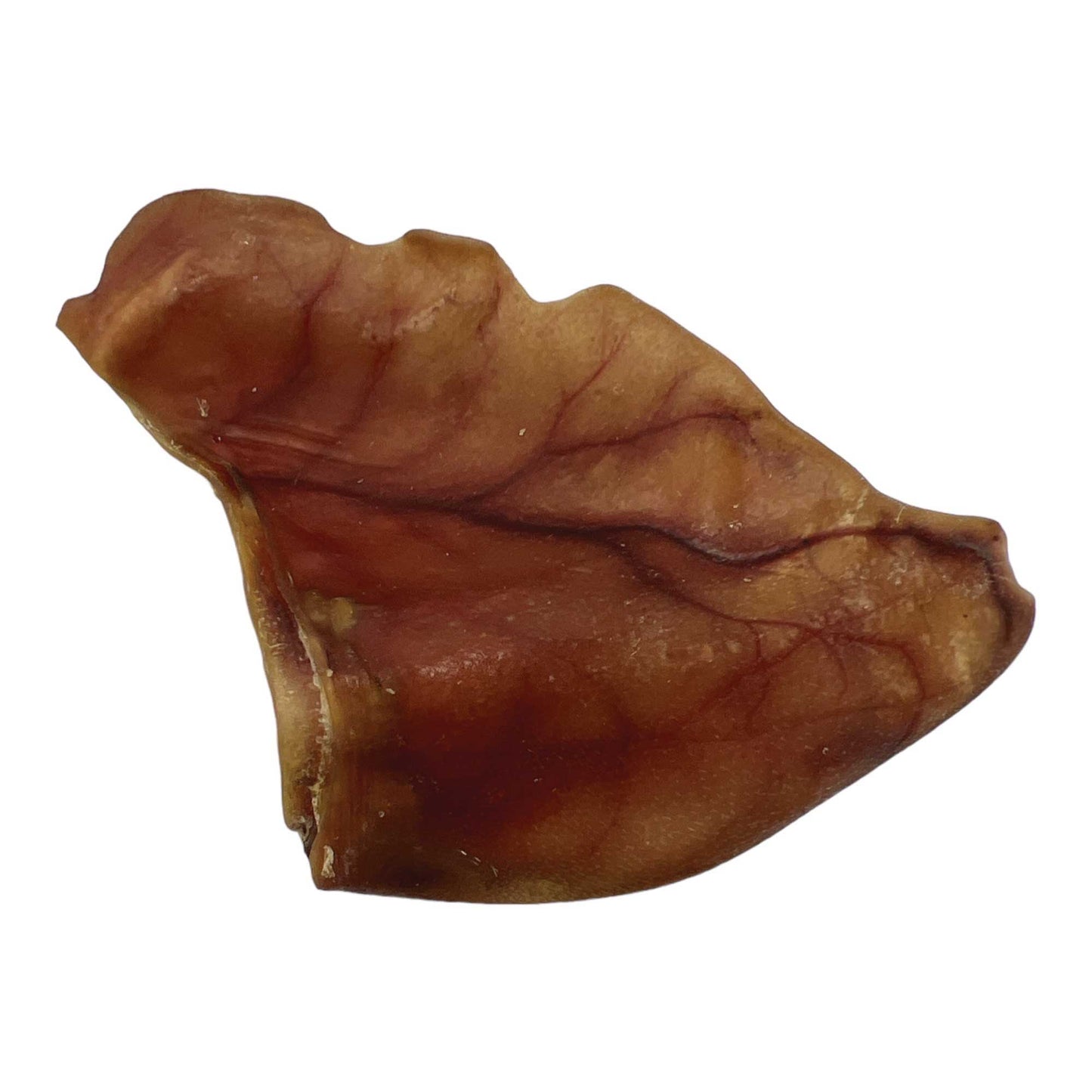 Dog Treat Large Pig Ears Whole  - Dehydrated Australian Healthy Puppy Chew