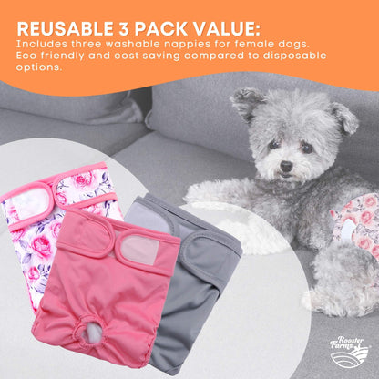 Rooster Farms Female Dog Diapers 3Pk Washable Reusable Nappies Hook + Loop Fit